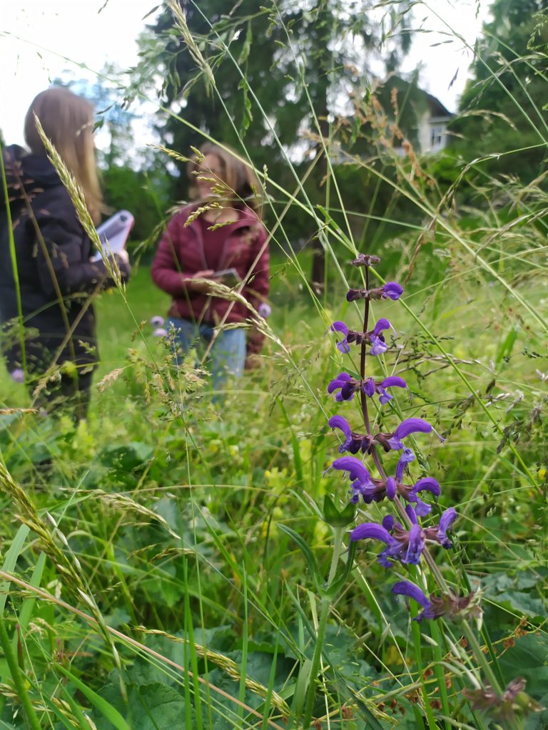 Evaluation d'un jardin par des expet.e.s. Photo: S. Quero