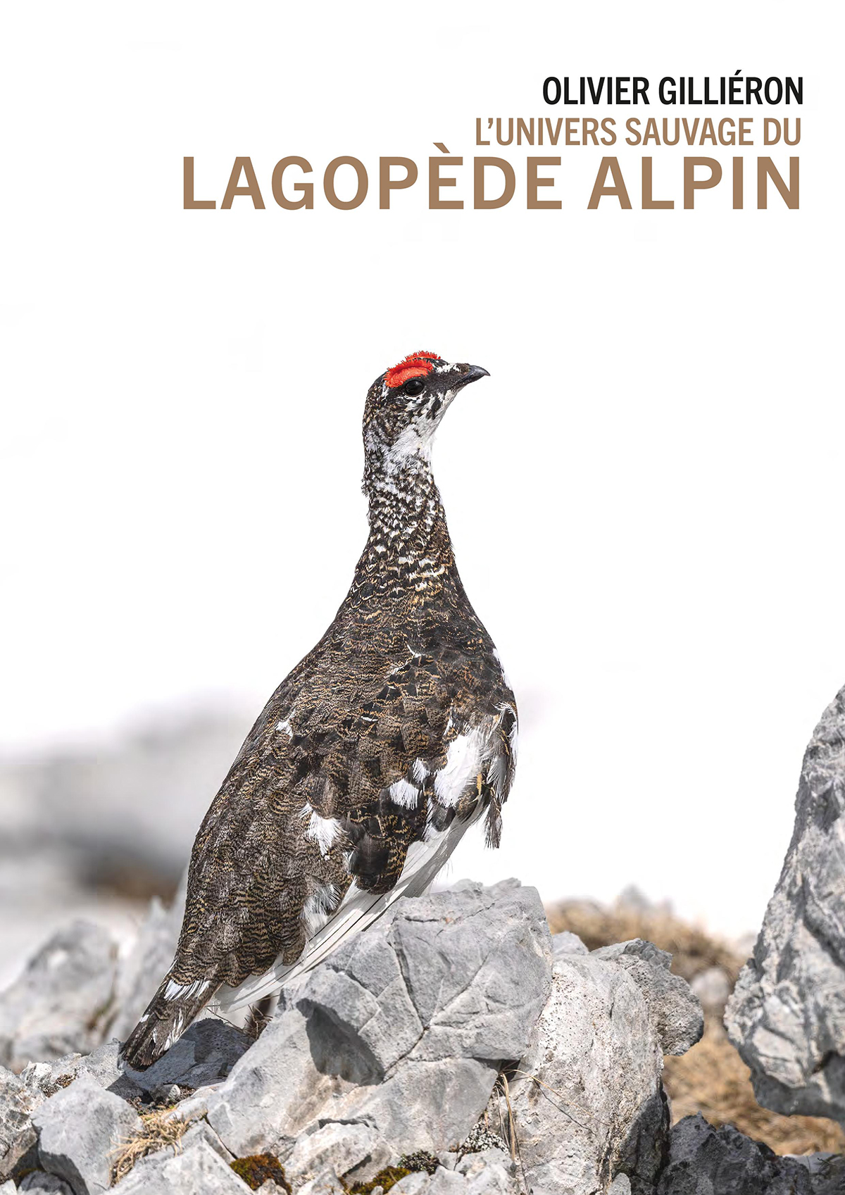 L’univers sauvage du Lagopède alpin